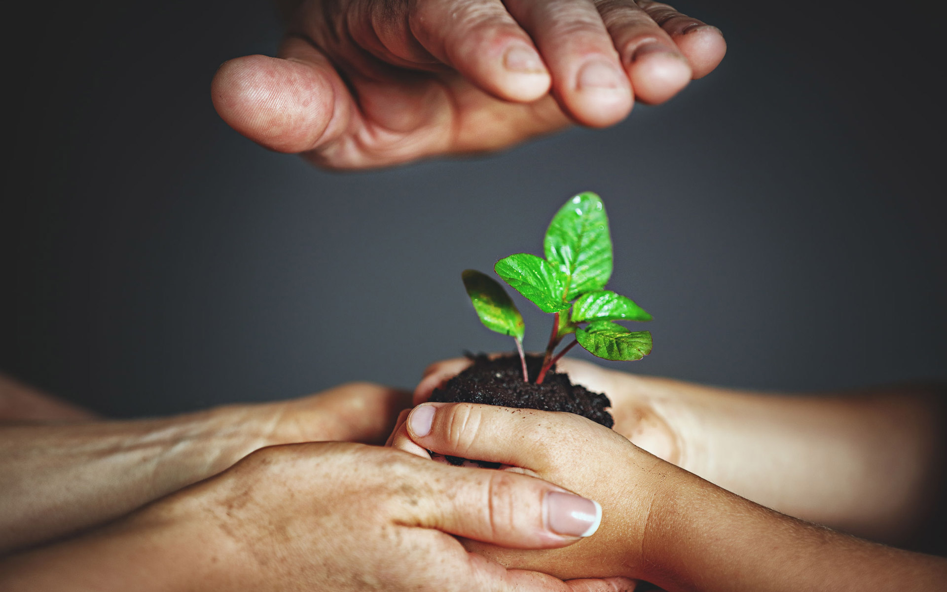 “Unite fino alla fine”: una amicizia indissolubile che fa bene al pianeta