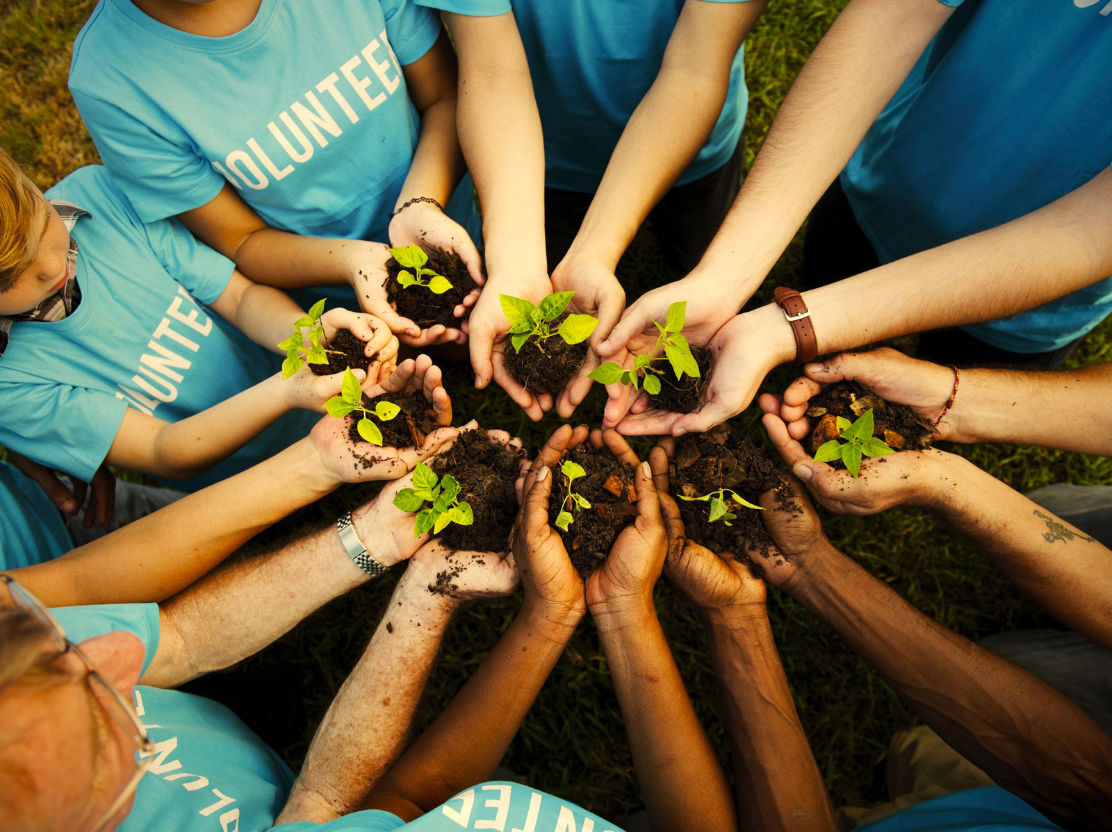 Il lascito solidale è una scelta: stare dalla parte di chi protegge
