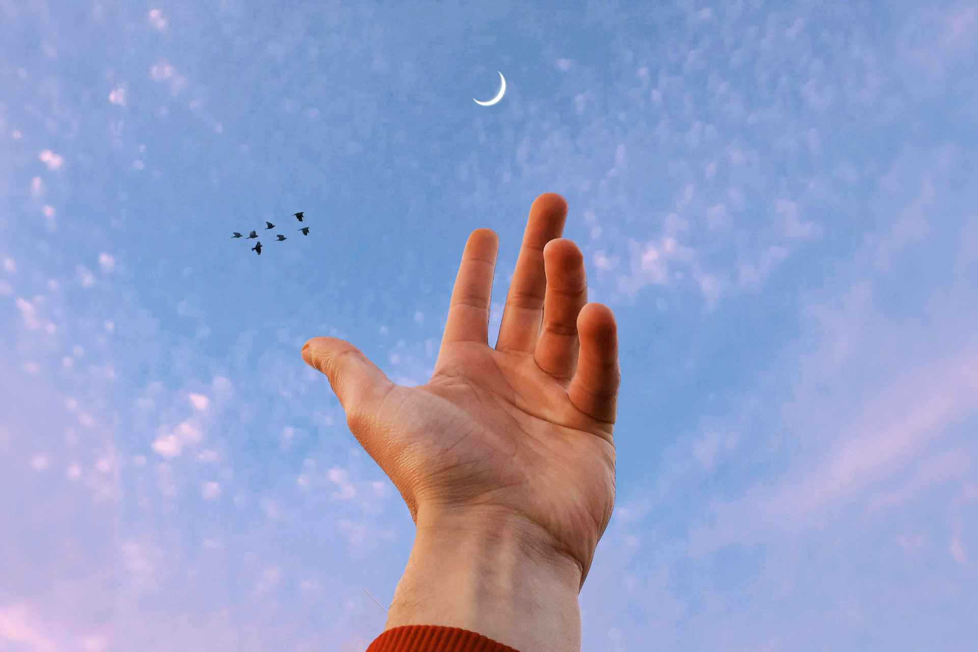 mano tesa verso il cielo, un testamento come un dono