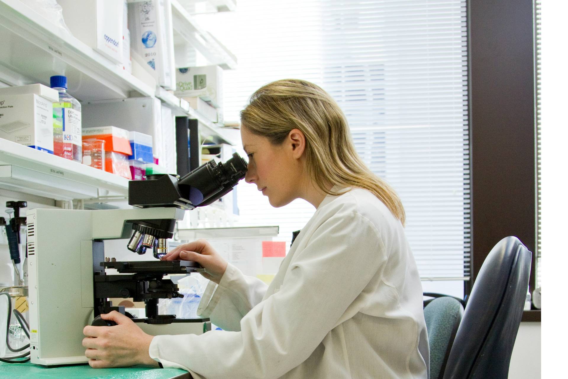 Ricerca contro il tumore al pancreas