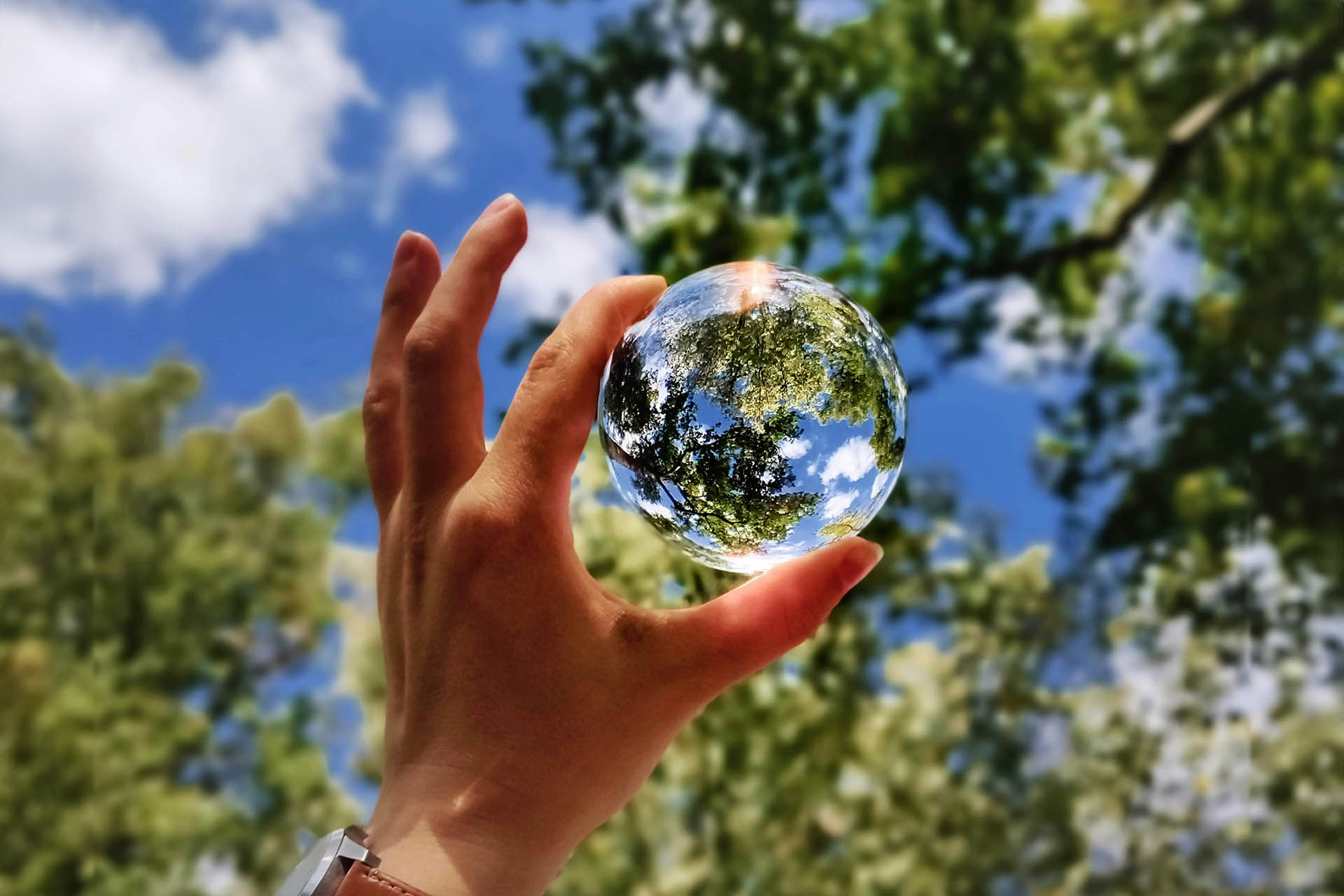 Preservare il mondo con un lascito solidale a Greenpeace